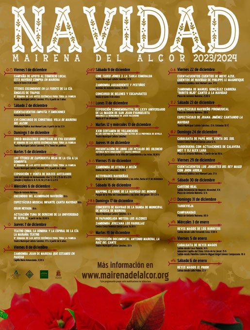 Programa de Navidad