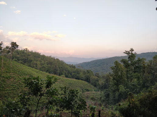 Dinner with view