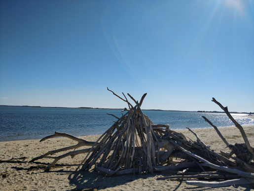 Art kiwi: scultures avec du bois trouvé sur les plages