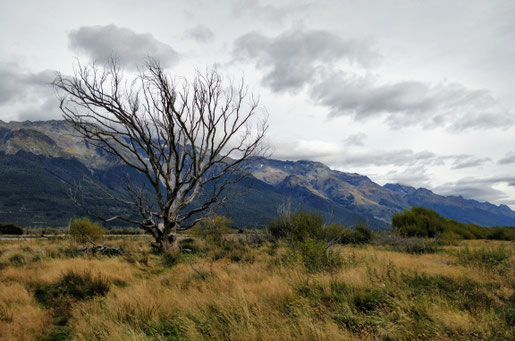 La plaine d'Isengard