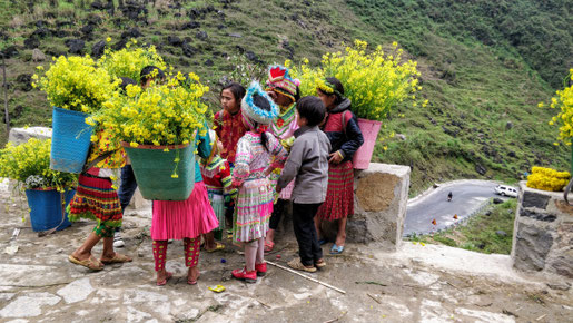 Vendeuses de fleurs
