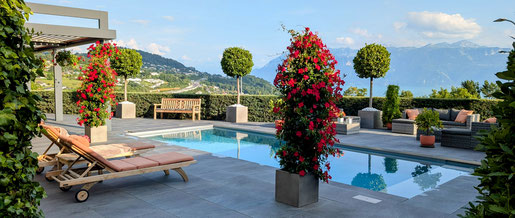 Terrasse sud - Résidence Bellevue Lutry