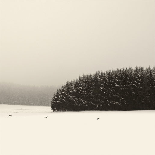 "WinterScape Bavaria"  Art Print von Lena Weisbek kaufen