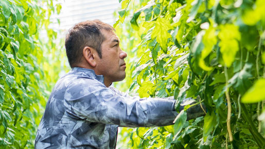 セリグリーンサム株式会社 代表：芹澤 雅司