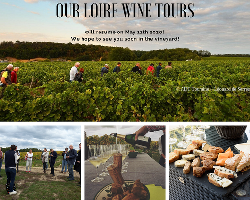 Loire-Wine-Tours-visit-Loire-Valley-vineyard-winery-cellar-wine-tasting-local-guide-Vouvray-Amboise