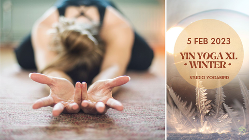 Yin yoga XL workshop yin yoga 3.3 rug schouders nek en bekken heupen onderrug