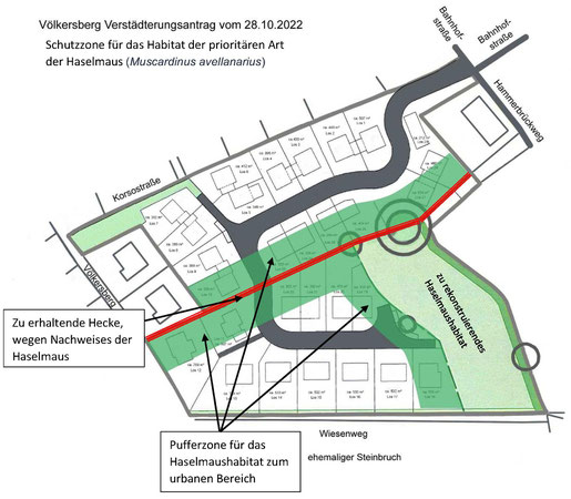 Steffens, Hergenrath, Haselmaus, Muscardinus, Hergenrather Eigenbau, KS-Bau, Völkersberg