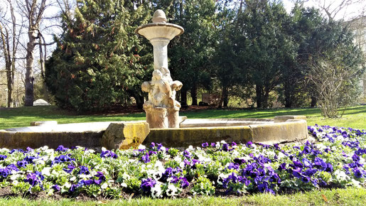 Brunnen mit Blumen im Ringpark Würzburg