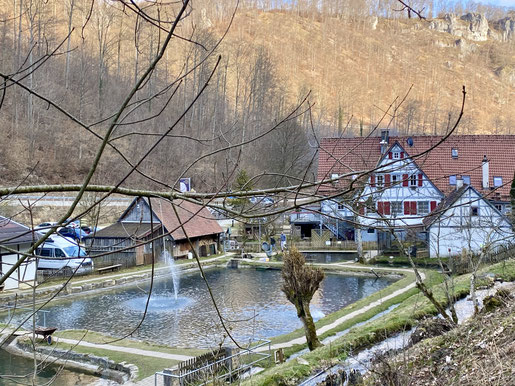 Resa am Forellenteich. Oberhalb führt ein Wanderweg durch das schattige Tal