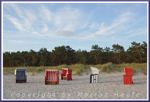 Dort, wo die Strände täglich gesäubert und geharkt werden, damit sich Zweibeiner wohlfühlen, können Strandpflanzen nicht leben.