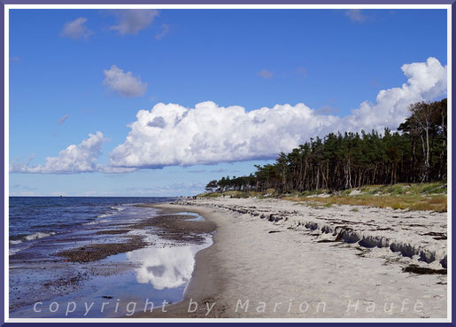 Der Weststrand zwischen Langseer Weg und Darßer Ort im September.