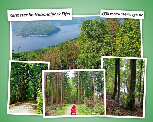 Barrierefrei Wandern am Kermeter im Nationalpark Eifel 