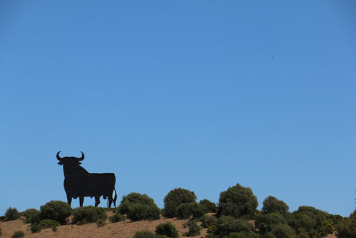 Der Osborne-Stier, der 21mal an Andalusiens Straßenrändern steht (C) Jenny Menzel, Weltwunderer 