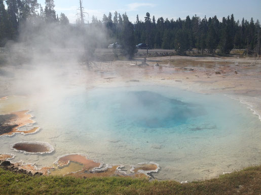 Morning Glory Pool, Yellowstone (Foto NP)