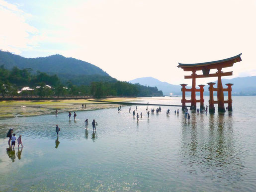 Torii vor dem Itsukushima-Schrein 