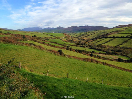 Dingle Peninsula