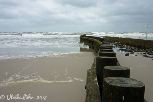 Die Nordsee als Heilmittel 