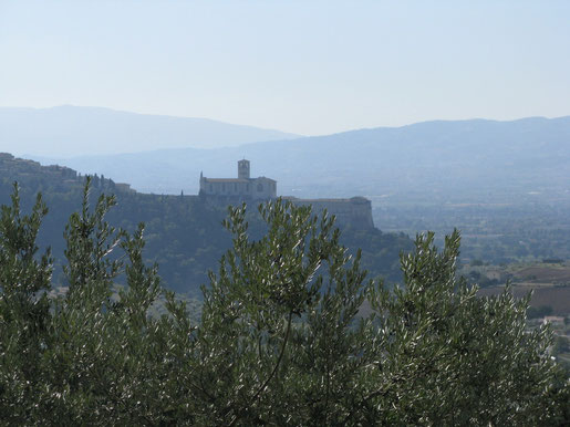 Assisi zum Greifen nahe, heute mittag um 12,00 Uhr (von Norden gesehen)
