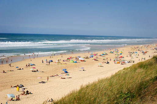 Plage landaise du Cap de l'Homy