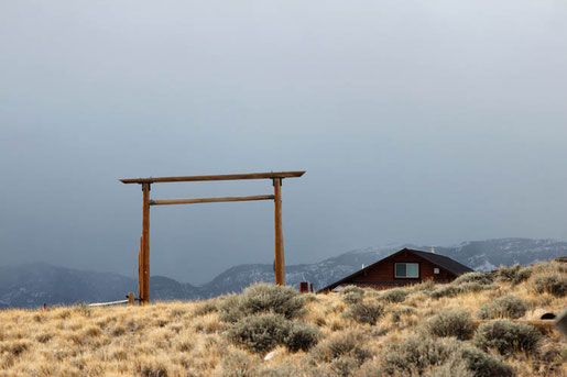 Wilder Westen, Waffengesetze, Cowboys in den USA