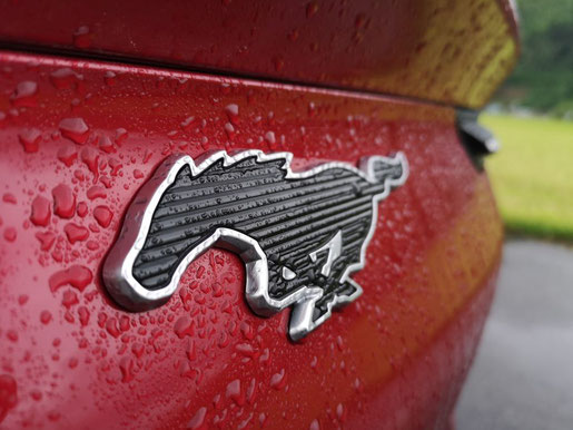 Mustang Logo auf Heck des Mach-E