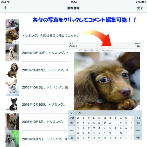 スマートフォンアプリ,写真管理,画像管理,写真,画像,フォトちゃん,画像3