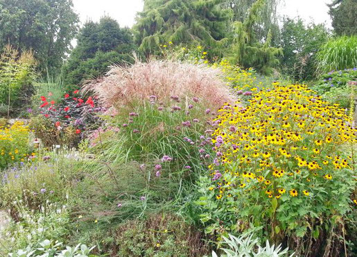 GArten- und Landschaftsbauer berücksichtigen bei Staudenbeeten sowohl Blütezeit, Farbe, Form, als auch Wuchshöhe und Ausbreitungsstrategien der einzelnen Gewächse.