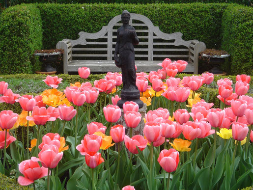 Ein Beet aus farbenfrohen Tulpen leuchtet vor einer immergrünen Hecken noch intensiver - selbst die eigentlich auffällige, dunkle Statue rückt so in den Hintergrund. Folge einer professionellen Planung.
