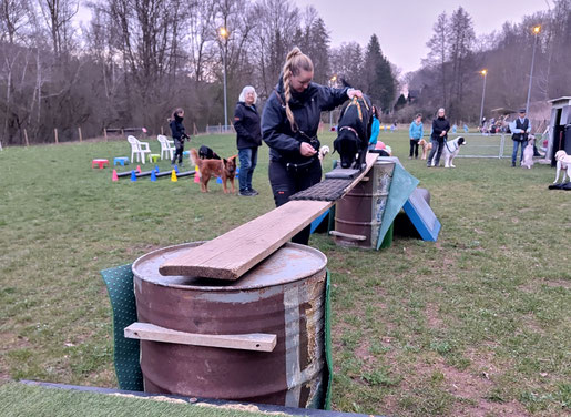 Frau führt schwarzen Hund auf Holzplanke über zwei Fässer bei Hundetraining im Freien mit mehreren Personen und Hunden und weiteren Trainingsgeräten im Hintergrund.