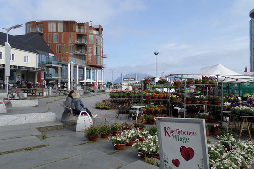 Marché de Svolvær