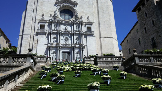 L'AGUICAT vol promoure el turisme responsable i de qualitat, i us convida a passar-vos per Girona a veure les flors i els seus monuments.