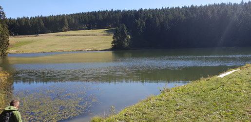 Der Auerhahner Teich