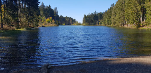 Der Mittlere Grumbacher Teich