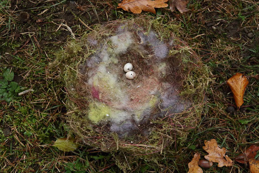 Blaumeisen-Nest mit bunten Fäden vom Grabschmuck