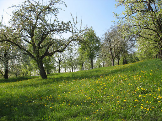 Foto: NABU / Hannes Huber