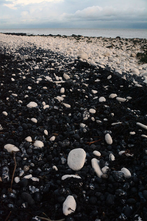 Black and white and blue all over. Seaweed, flints and chalk creating this banding effect down at St Margarets Bay in east Kent.