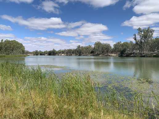 Australia's iconic Murray River