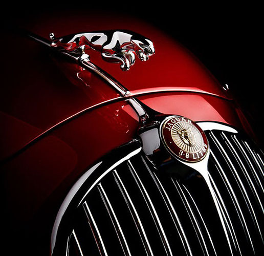 Jaguar