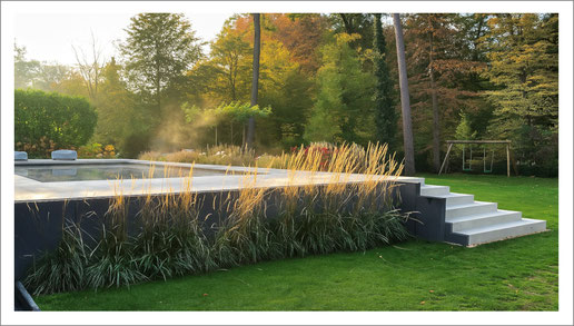 dorada pool Projekt: MLine 1100/500 mit Glasmosaik - Treppe Palace - Solar Lamellen - in Dreieich