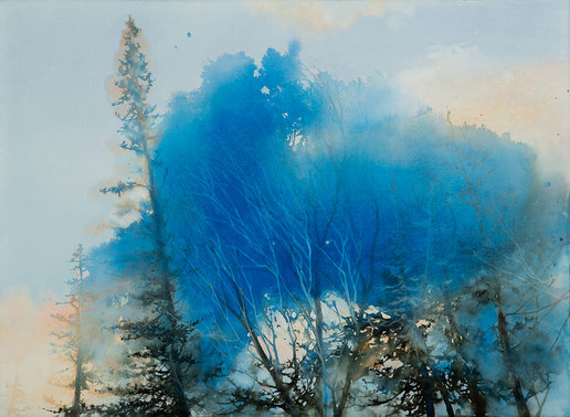 Pini Neri e la nuvola blu cm 56 x 76