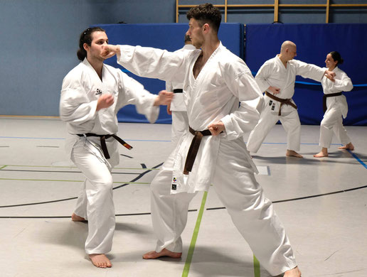 Karate Anfängerkurs Erwachsene Köln