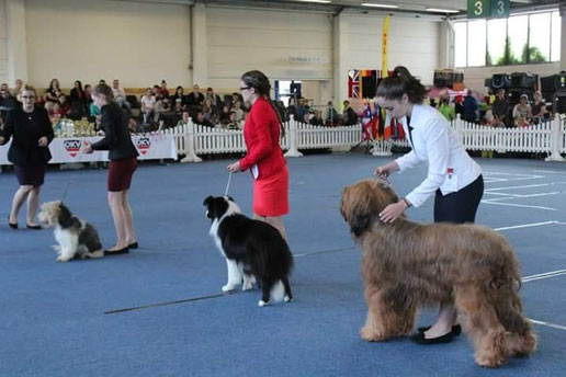 Sido and me at juniorhandling