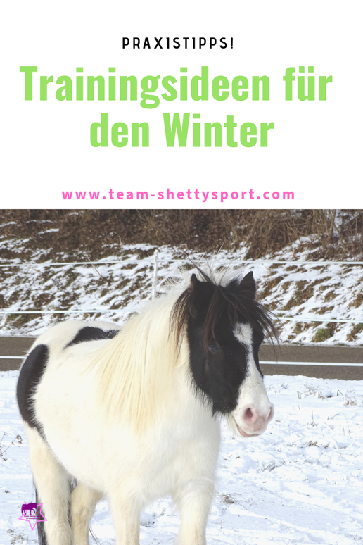 Training im Winter! Mit diesen Trainingsideen bleibt Dein Pferd auch im Winter fit.