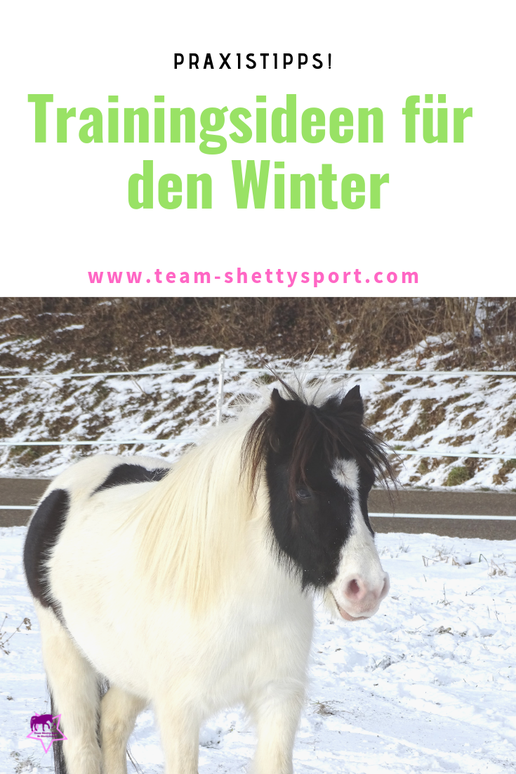 Training im Winter! Mit diesen Trainingsideen bleibt Dein  Pferd auch im Winter fit.