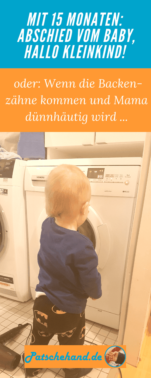 Kleinkind-Entwicklung mit 15 Monaten auf Mama-Blog Patschehand.de - Grafik für Pinterest