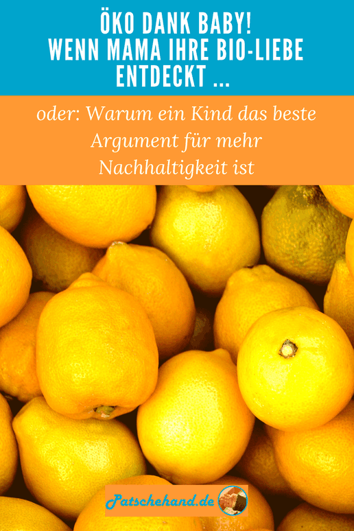 Pinterest-Grafik zu Jana Patschehands teurem Öko-Bio-Mama-Wahn