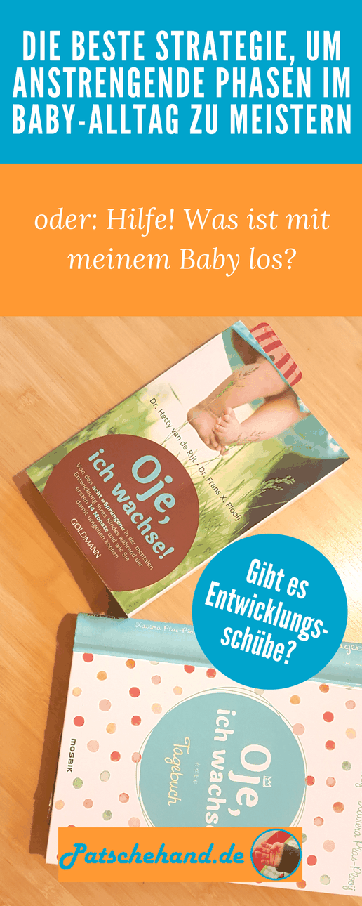 Grafik zu Entwicklungsschüben und "Oje, ich wachse" auf Mama-Blog Patschehand.de zum Pinnen auf Pinterest oder Teilen auf facebook