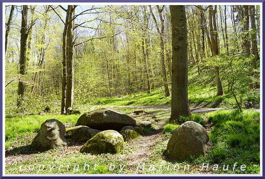 Das Herzogsgrab befindet sich am Fuß eines fossilen Steilufers, Baaber Heide/Rügen.