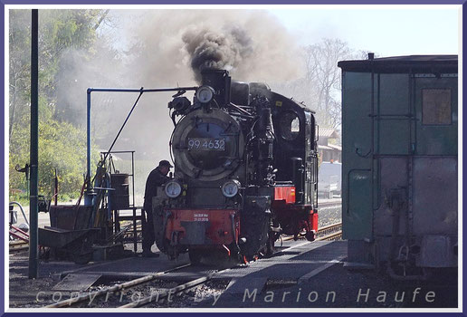 Im Bahnhof Göhren wechseln die Loks die Fahrtrichtung - eine gute Gelegenheit zum Staunen und Fotografieren.