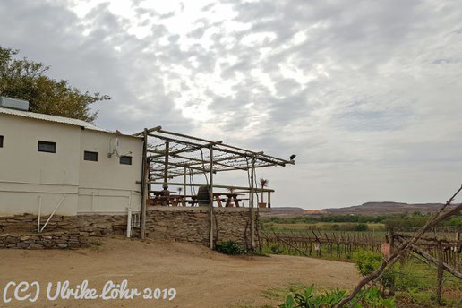 Die Mas Cellars